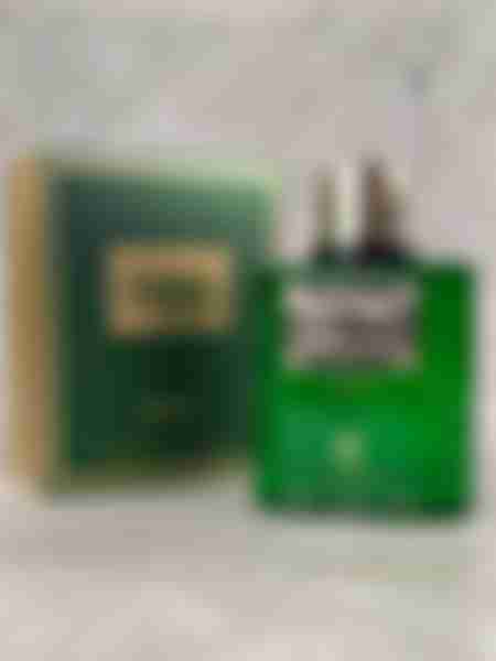 Вода парфюмерная V.Veneza Exciting Vert, unisex, 100 мл