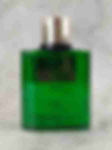 Вода парфюмерная V.Veneza Exciting Vert, unisex, 100 мл