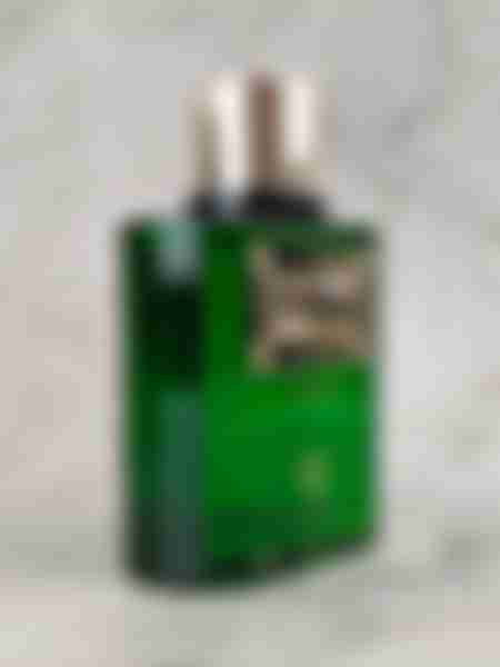 Вода парфюмерная V.Veneza Exciting Vert, unisex, 100 мл