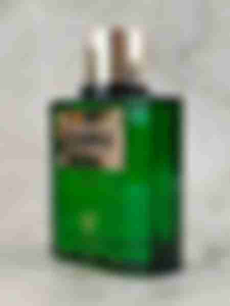 Вода парфюмерная V.Veneza Exciting Vert, unisex, 100 мл