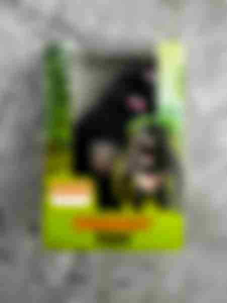Фигурка Jile Toys Горилла тянущаяся, в ассортименте