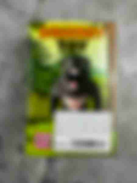 Фигурка Jile Toys Горилла тянущаяся, в ассортименте