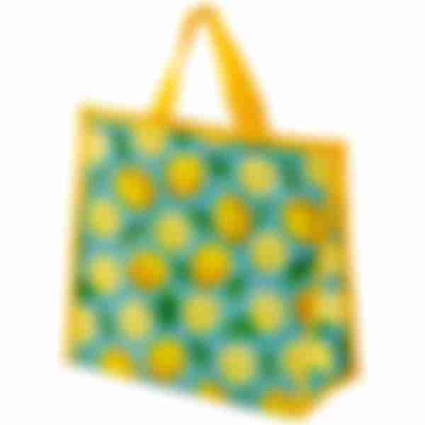 Термосумка Экос Fruits CB-89, 12л, р-р: 30*15*28см