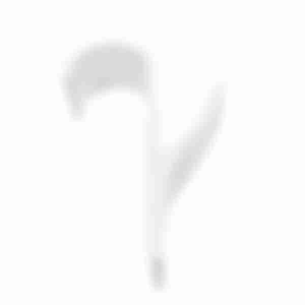 Крючок Рыжий кот на полотенцесушитель 4 шт 9,5*1,5*2,5см белый 109691